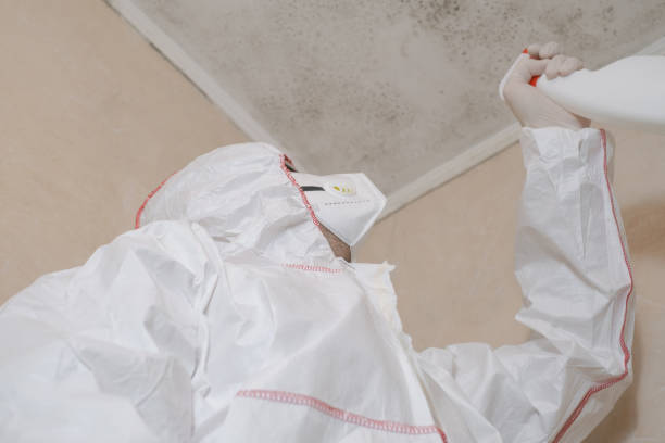 Best Affordable Mold Removal  in Ames, TX