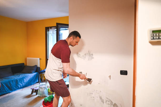 Best Local Mold Removal Service  in Ames, TX