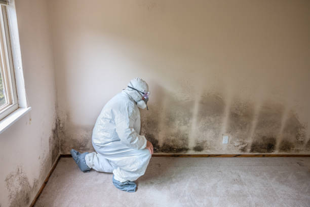 Crawl Space Mold Removal in Ames, TX
